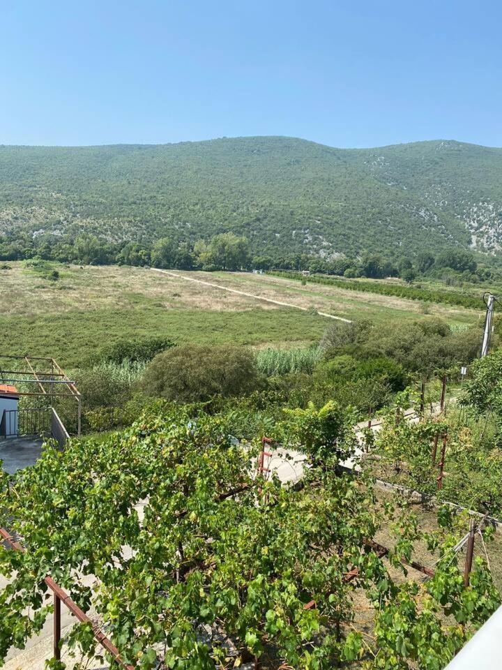 Čapljina Apartment Angelina מראה חיצוני תמונה
